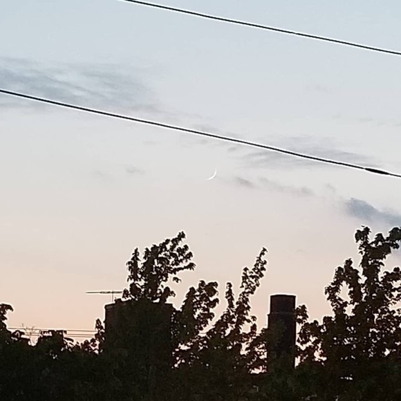 Meet your Posher, Saiful - Picture 1 of 1